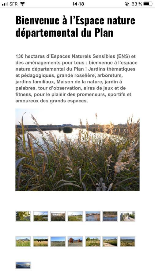 Maison "Les Vignes" Le Pradet Exterior foto
